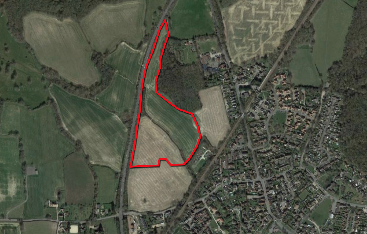 The site